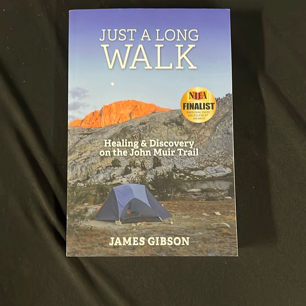 Just a long walk book